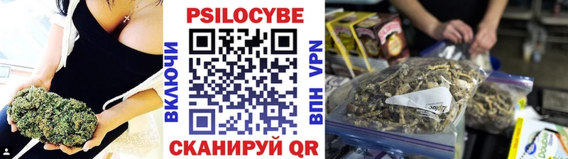 Галлюциногенные грибы Cubensis  Талдом 